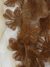 Brown Floral Appliqué Tulle - Image 2