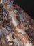 Blue and Antique Bronze tulle with floral Embroidery - Image 7