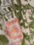 Yellow, Pink and Blue Elegant Whisper Embroidered Tulle - Image 2