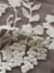 Flora Cotton - Image 4