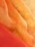 Sunset Glow Ombre Organza