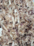 Tulle with grey and yellow embroidery and sequins. - Image 7