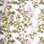 Enchanted Aviary beige and pink Tulle