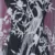 Enchanted Aviary white Tulle - Image 2
