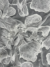 Off White tulle with large, flowy embroidered flowers - Image 2