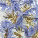 Blue and Golden Tulle with central embroidery and sequins for elegant sparkle