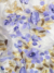 Tulle with sequin patterns and embroidery for a touch of elegant sparkle - Image 3