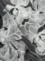 White Blossom Tulle with Floral Embroidery - Image 2