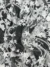 Off White Tulle with 3D Floral Accents - Image 2
