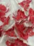 Crimson Elegance Tulle with Red Embroidery - Image 2