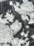 Floral Elegance Tulle with Embroidered Flowers - Image 2
