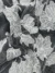 Off White Floral Harmony Tulle with Embroidered Flowers - Image 2