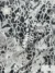 Transparent Tulle with off white floral Embroidery - Image 2