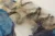 Couture Wildflower Embroidery - Image 4