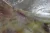 Printed Sequin on Tulle - Image 4