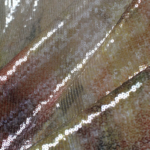 Printed Sequin on Tulle