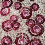 Vibrant tulle with dazzling pink sequin accents
