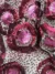 Vibrant tulle with dazzling pink sequin accents - Image 2