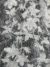 Off White Metallic Tulle Embellished with Sequin Flowers - Image 2