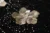 Black tulle with delicate embroidery, subtle sequins, and 3D jacquard golden flowers with sequin accents. - Image 2