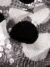 Black and White circles sequins on a silver tulle - Image 5
