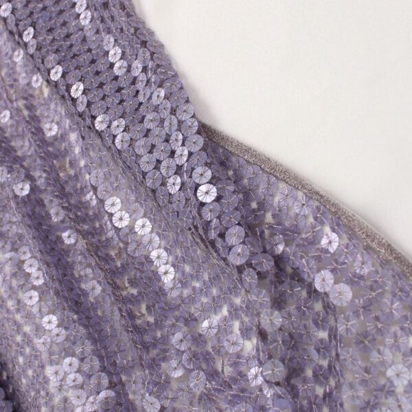 Purple tulle adorned with shiny embroidery