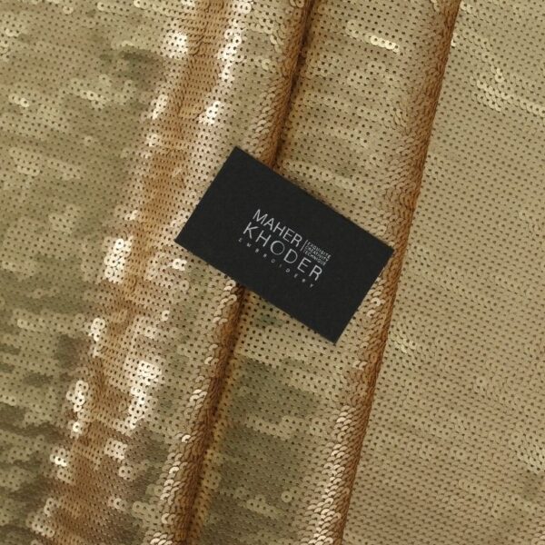 Shiny Golden Tulle adorned with embroidery