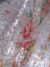 Purple and orange tulle fabric adorned with floral embroidery - Image 4
