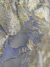 Blue Embroidered Tulle - Image 4