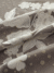 Sparkle Fleur Tulle