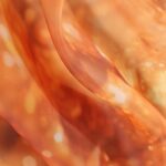 Liquid Gold Shimmer