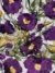 Dark night Blossom Elegance Tulle with Purple Floral Embroidery - Image 2